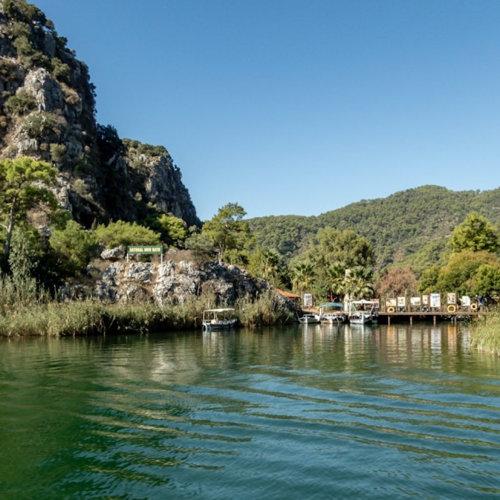 a body of water surrounded by trees and mountains