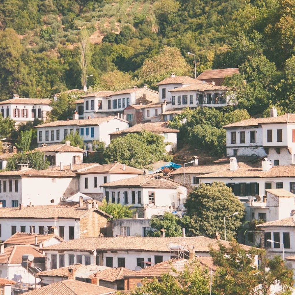 Sirince Village: Survivor Of The Doomsday