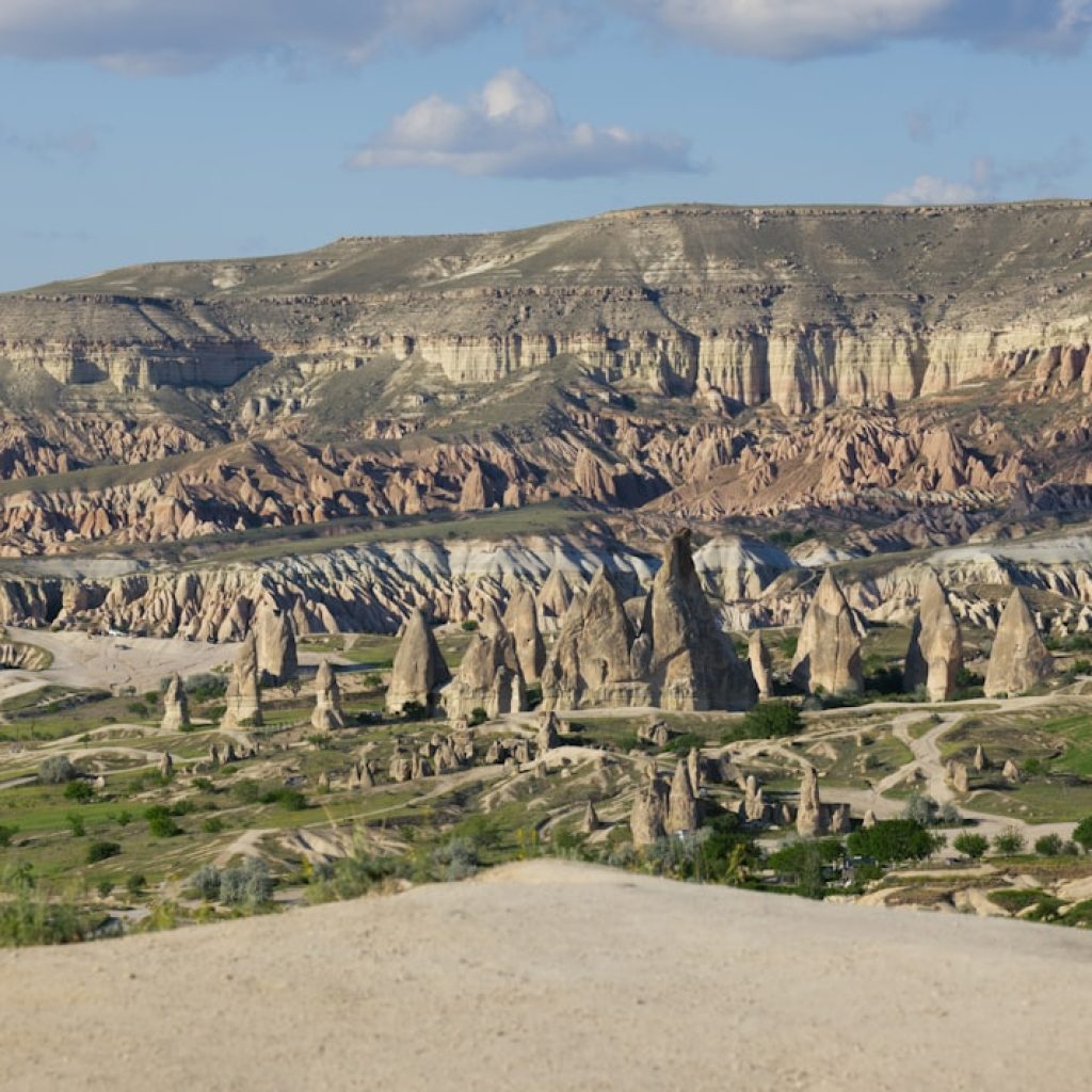 A scenic view of a valley and mountains