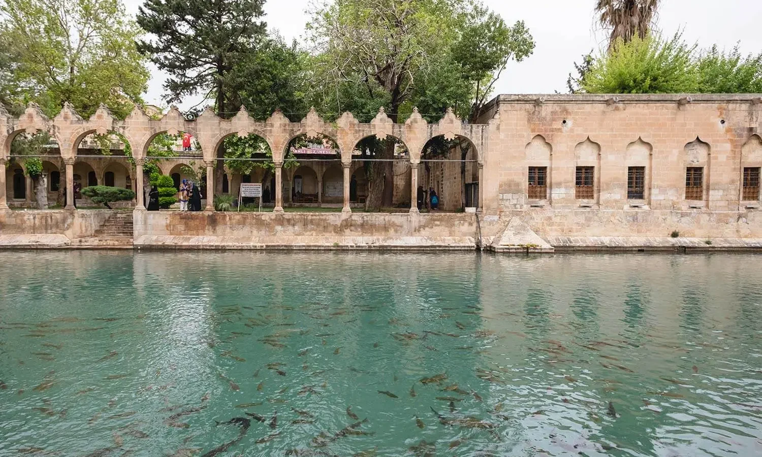 The arcaded Rizvaniye Mosque along the sacred carp pool of Balıklıgöl