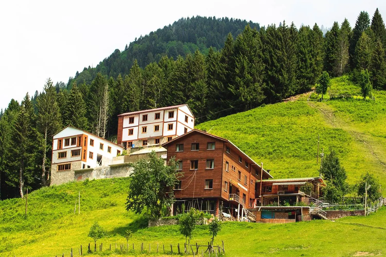 Chalets on the green slopes of Ayder