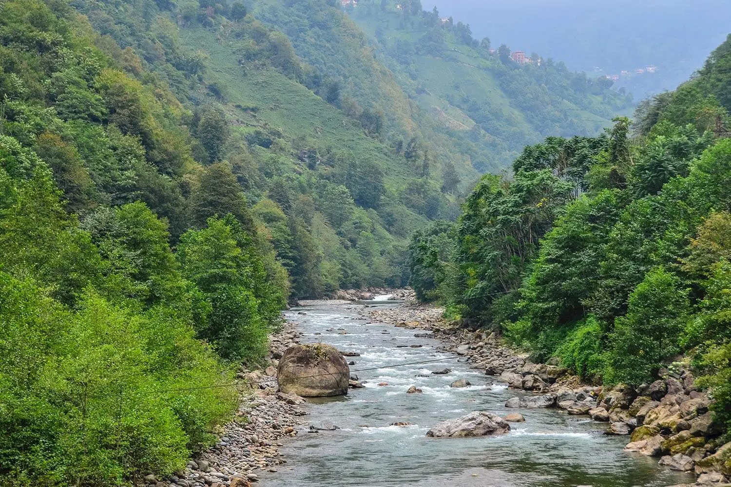 The Fırtına valley between forested slopes