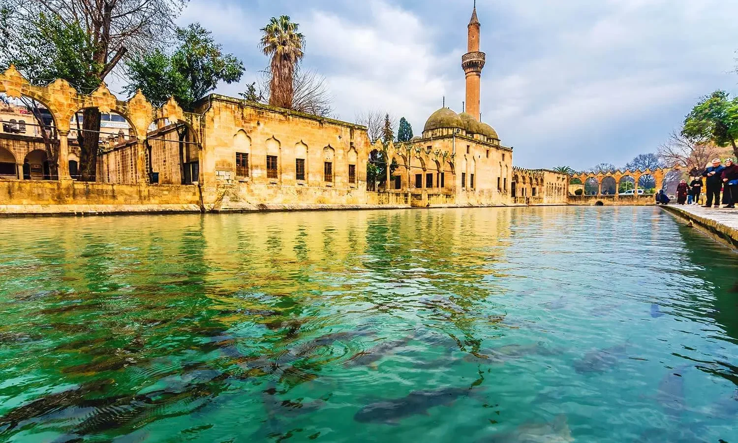 Fish-filled pool of Balıklıgöl beneath the mosques of Şanlıurfa