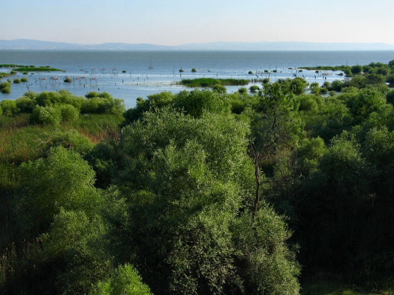 Kuşcenneti National Park