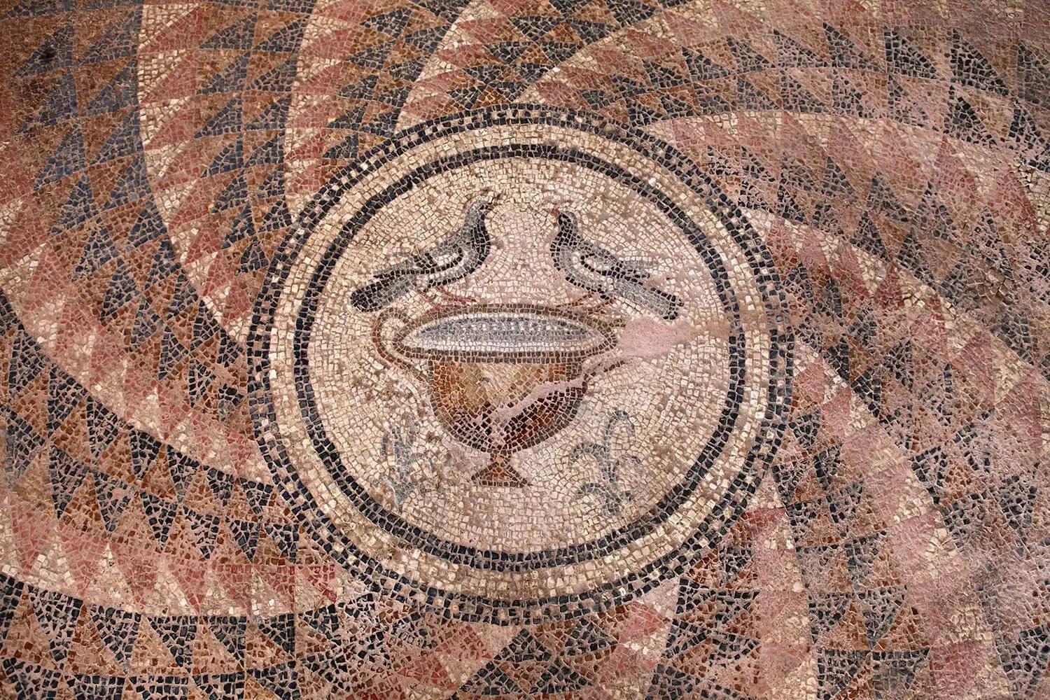 A mosaic of two birds and a vase at Antandros