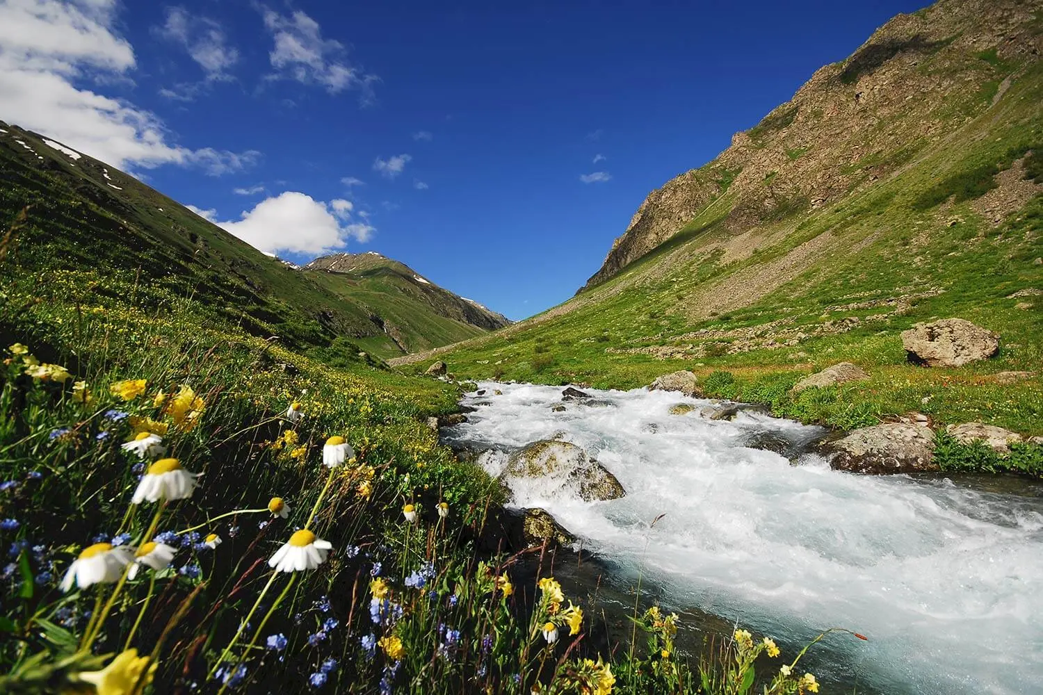A mountain stream in the Kaçkar Mountains