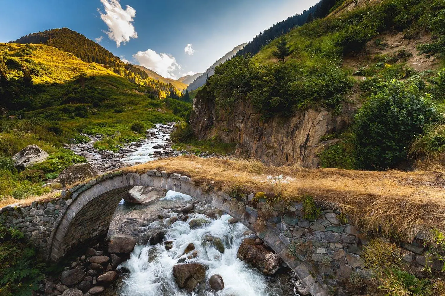 An old stone bridge over a mountain stream in Rize