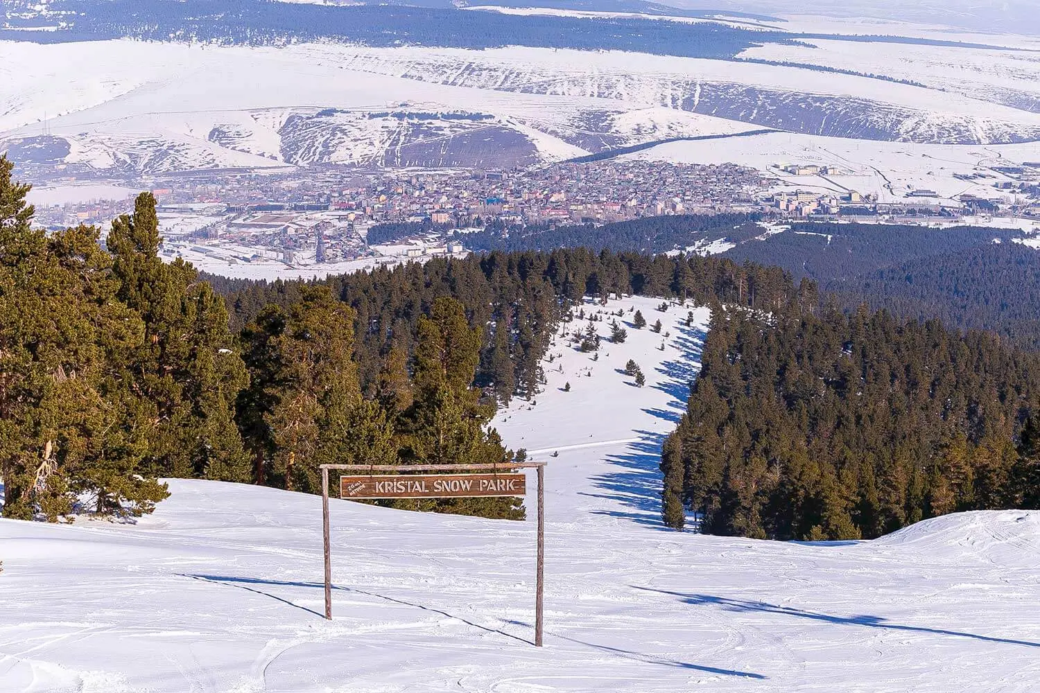 Pine forest and ski runs at Sarıkamış