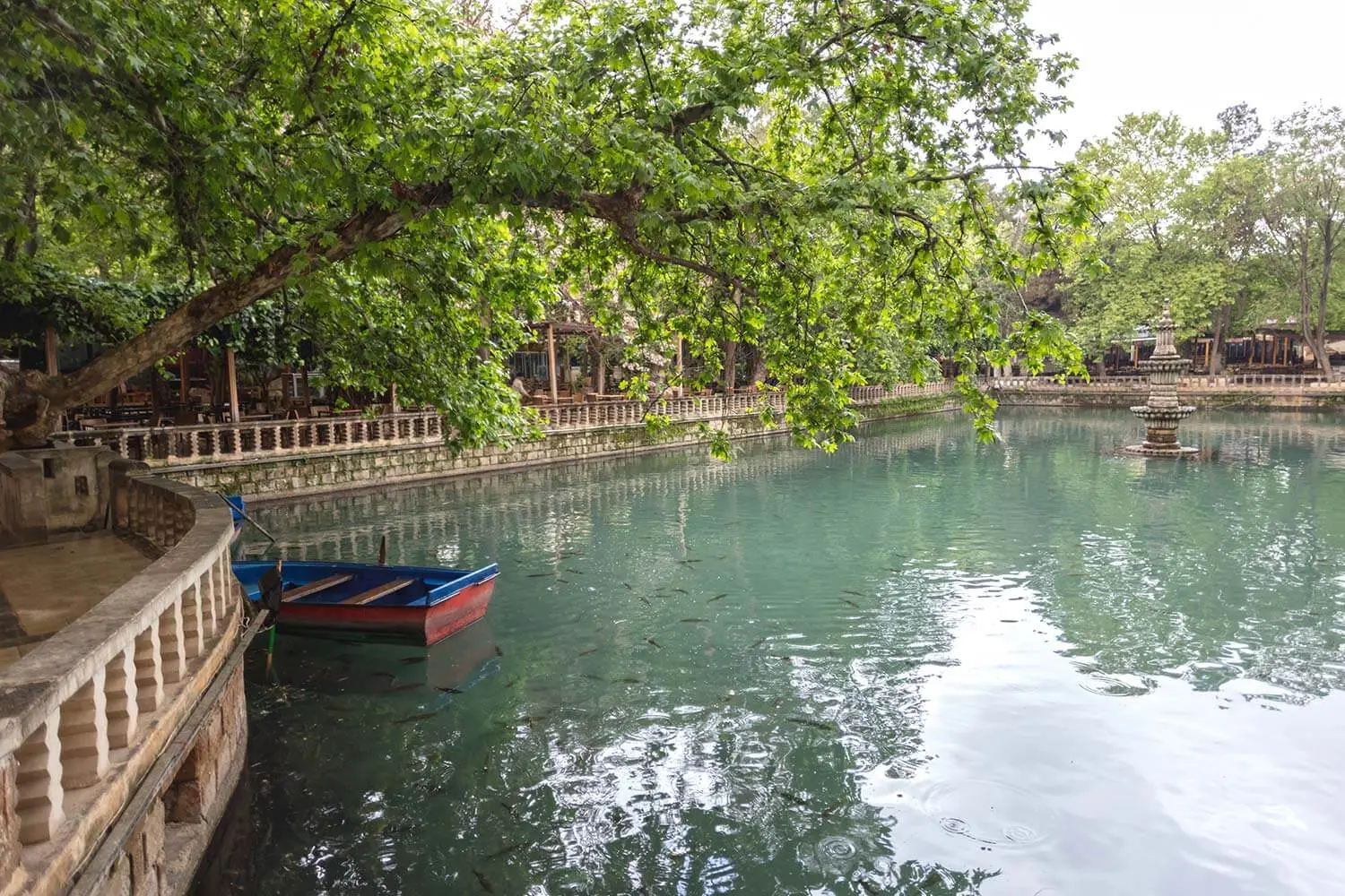 Plane trees and a boat on the pool at Balıklıgöl