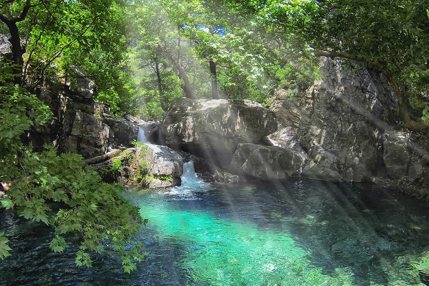 A pool in the forest of Kazdağı National Park
