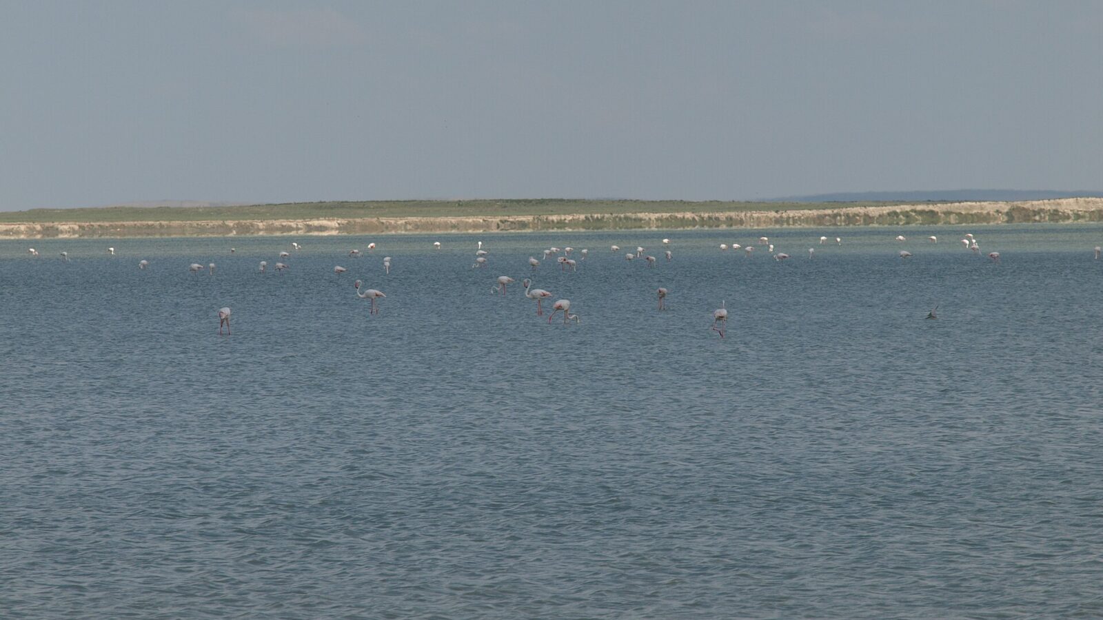 Seyfe Lake