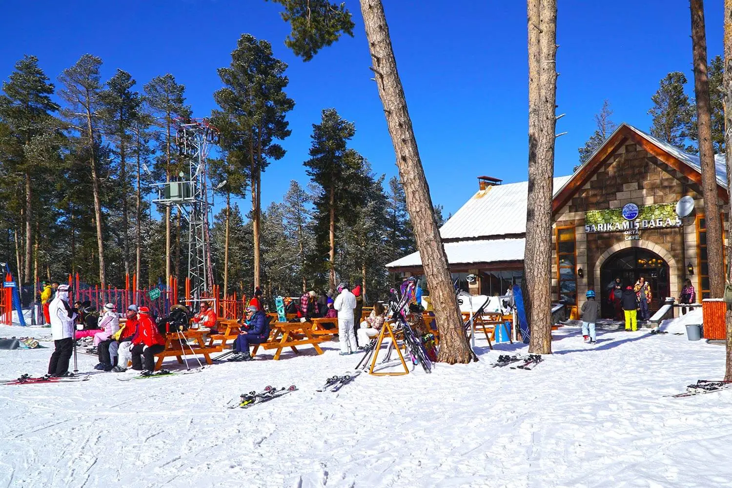 A ski lodge among the Scots pines of Sarıkamış