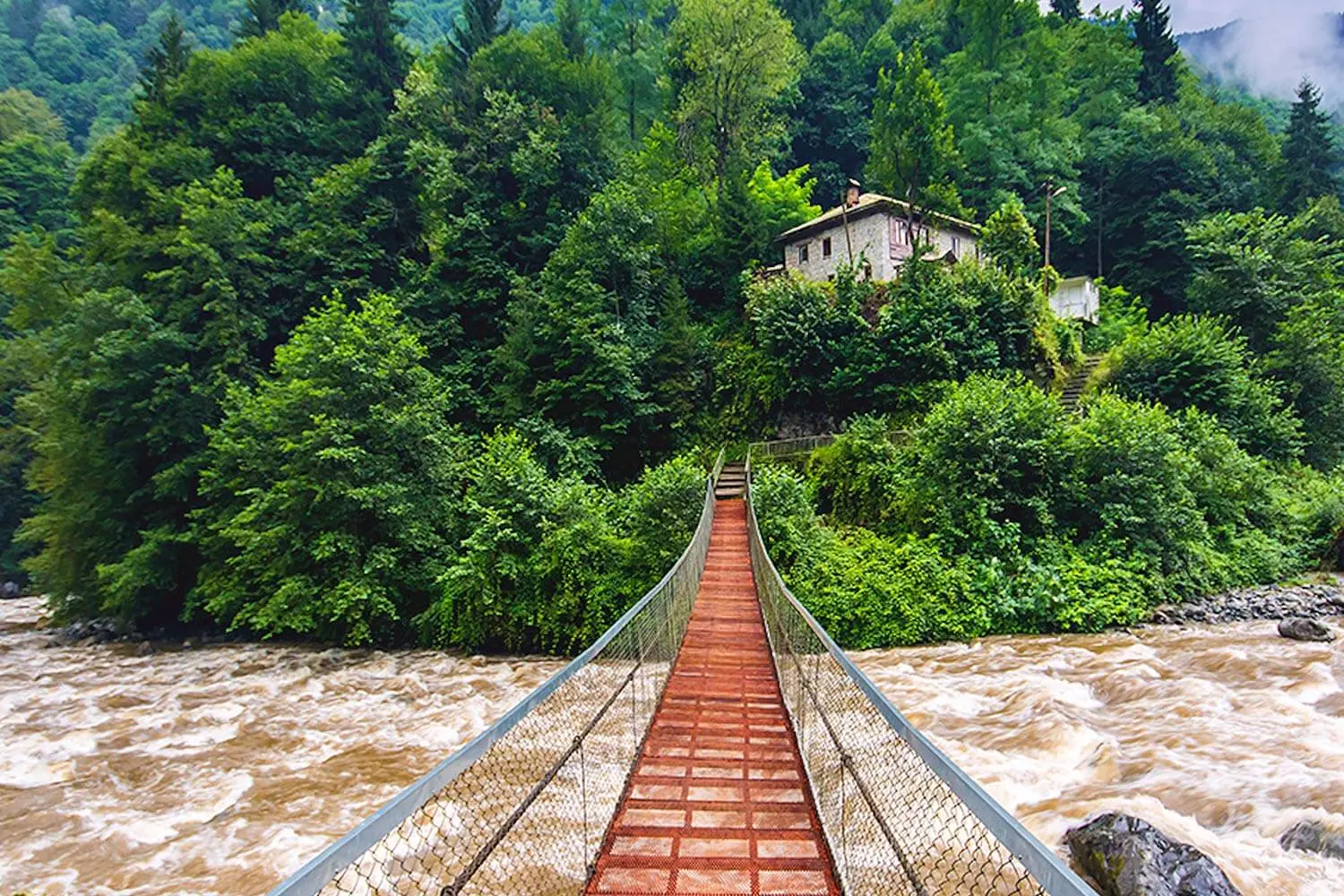 A suspension bridge over the Fırtına stream