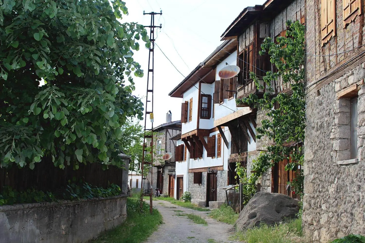 Timber houses on a lane in Yörük Village