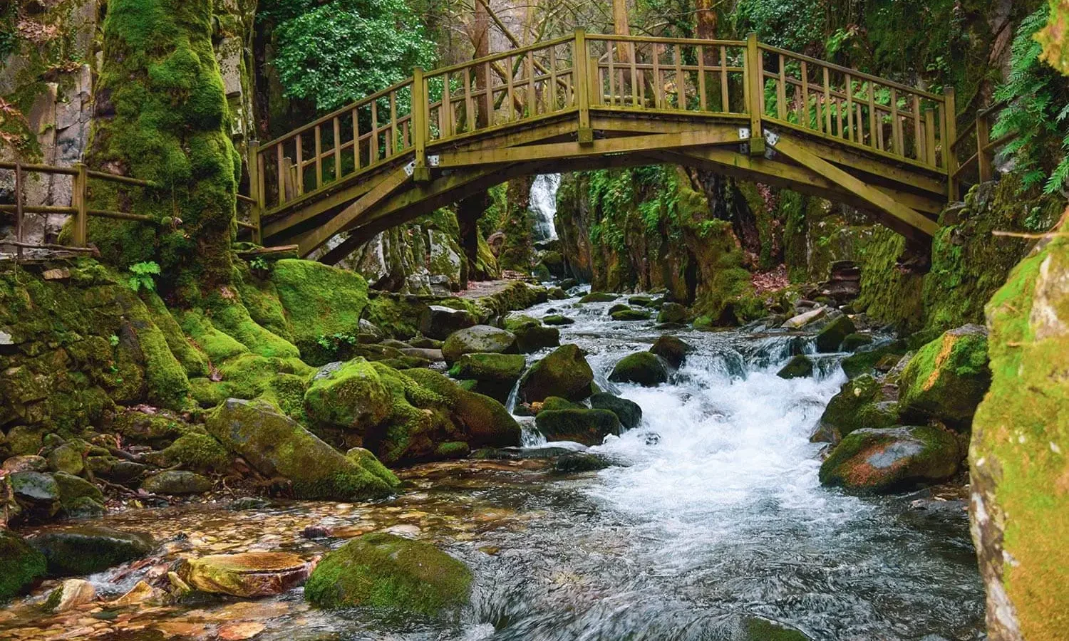 A wooden bridge over a stream in the Kaz Mountains