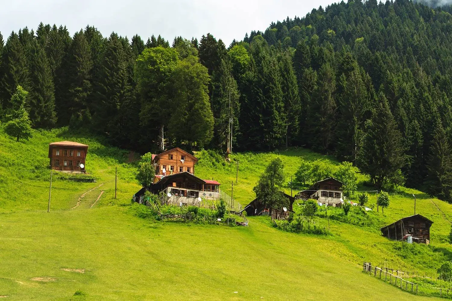 Wooden huts in a meadow at Ayder