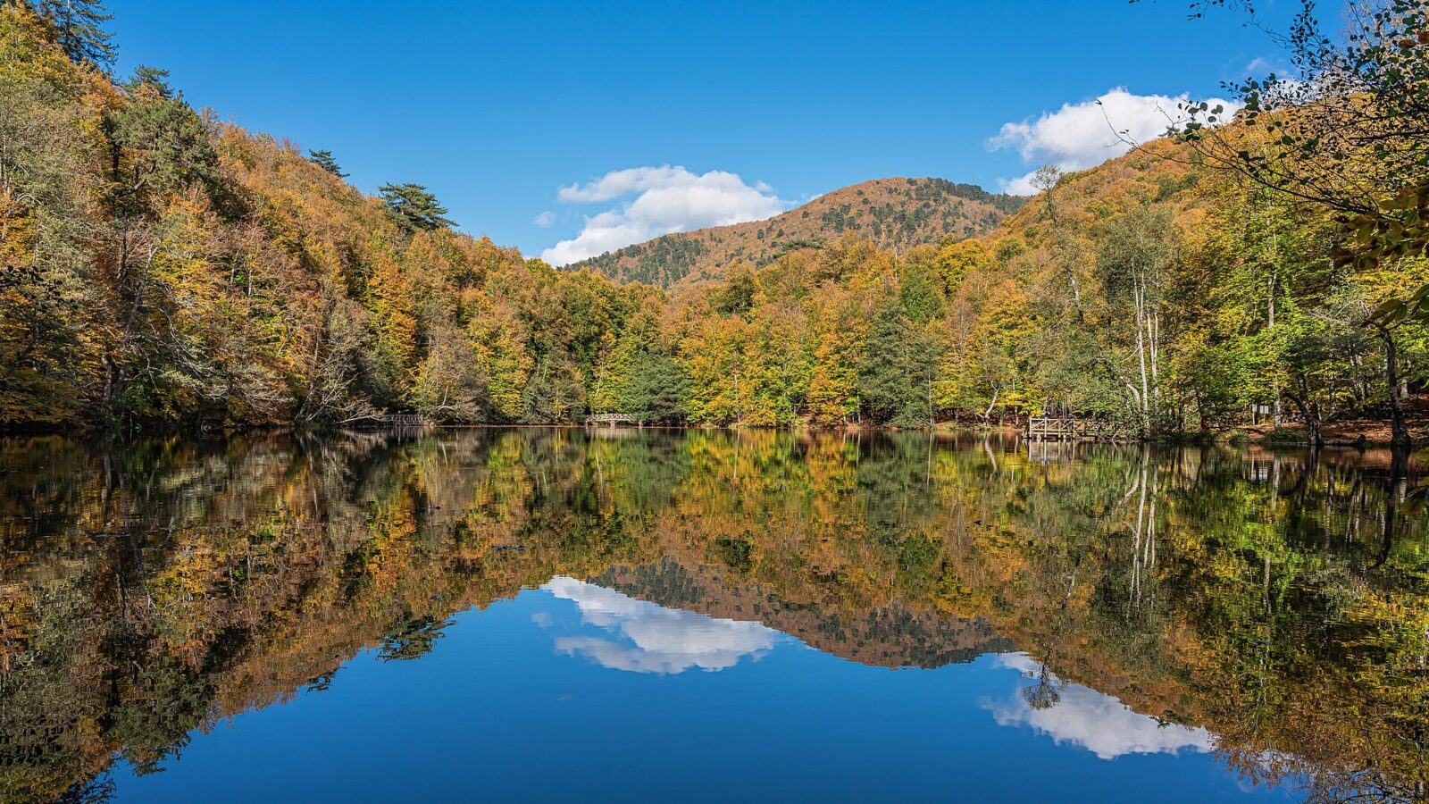 Yedigöller National Park